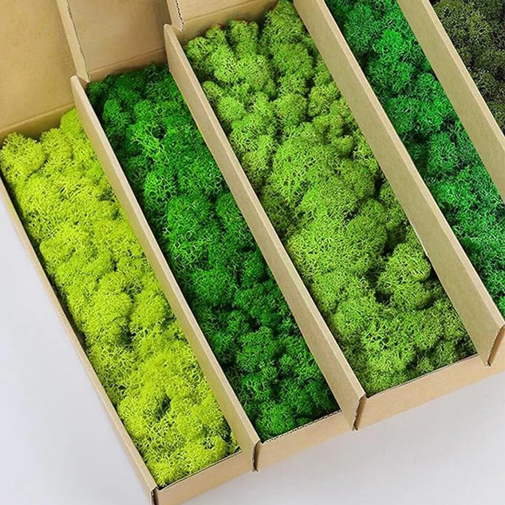 Sphagnum Moss Dry - 20-200g Kunstmatige Groene Planten Nep Gras