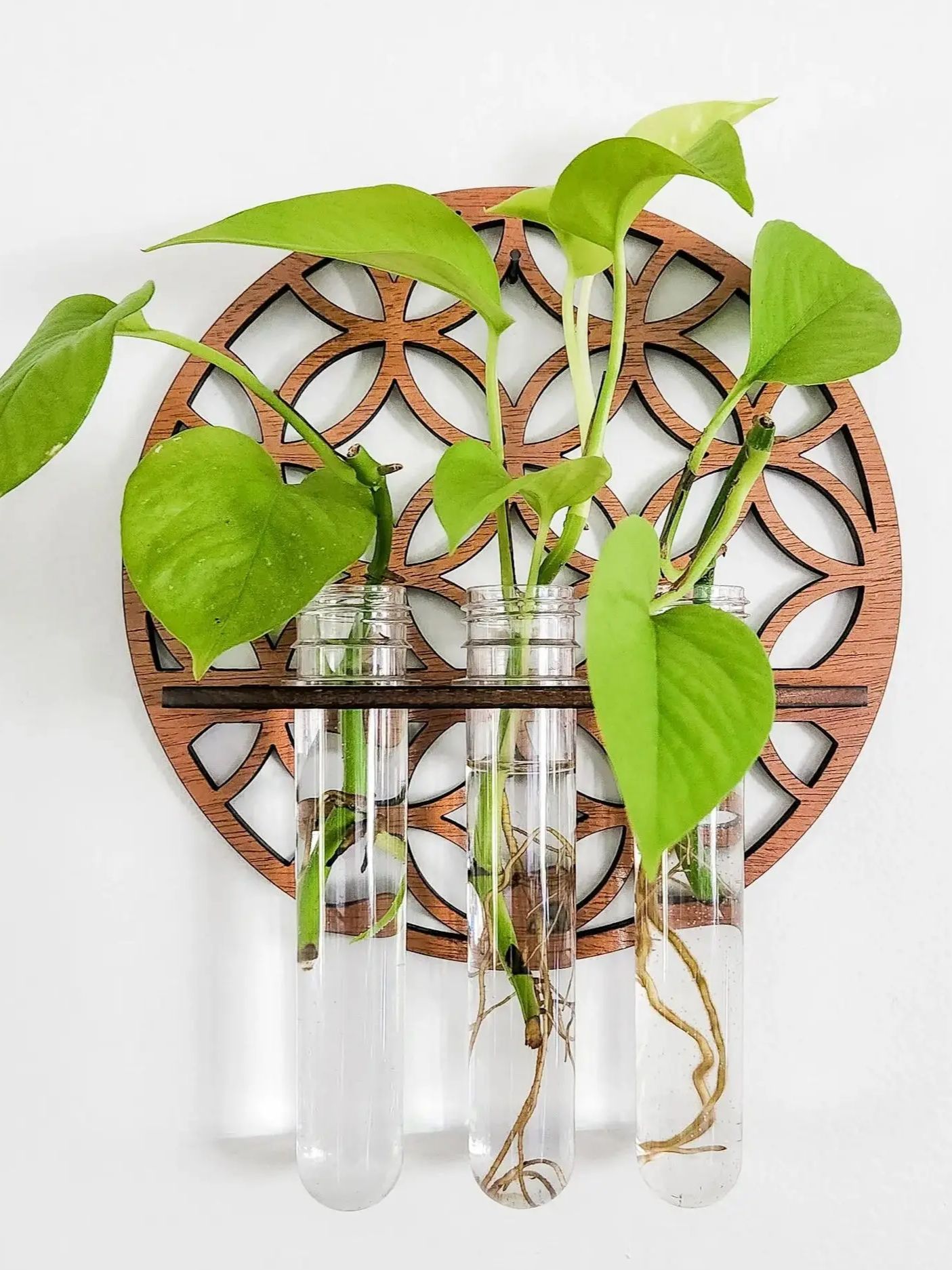 Propagation Station Vase - Tuinmuur Plantenbakken Binnen Houten Cirkel Plantenhanger