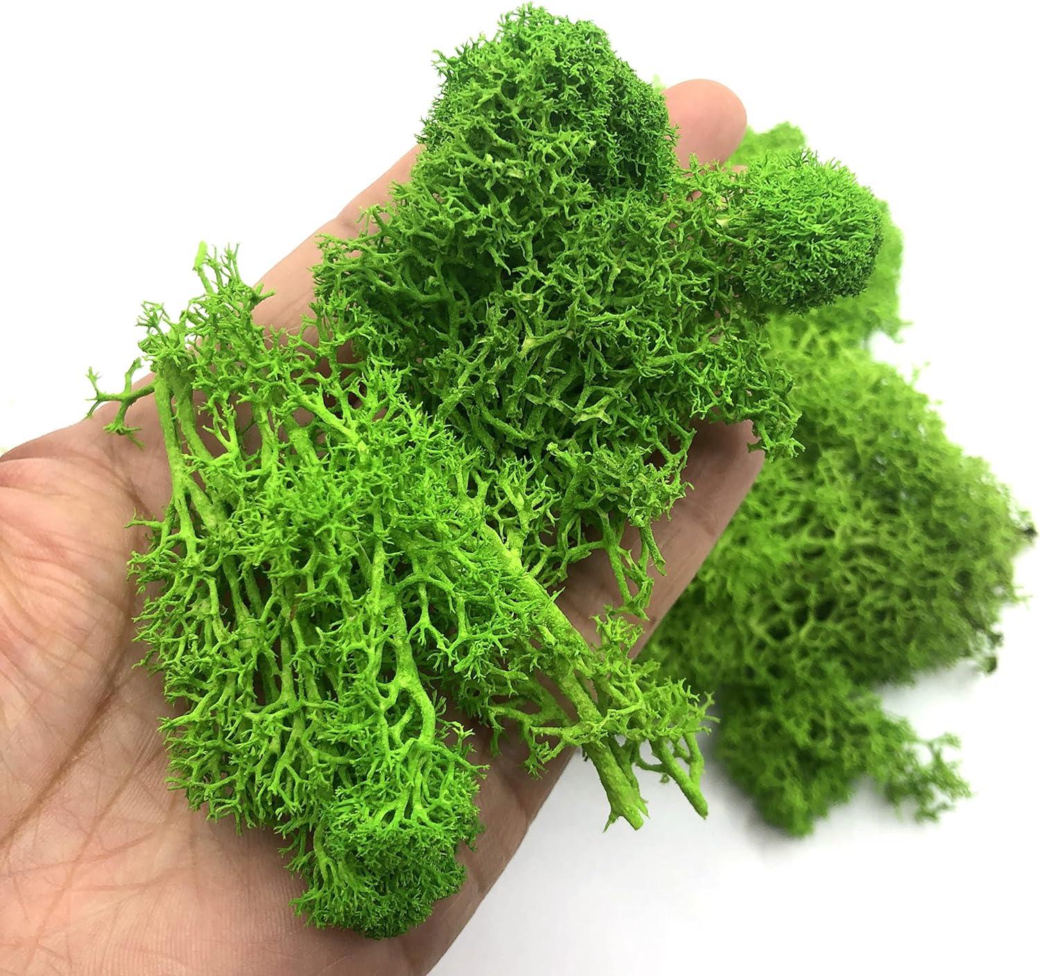 Sphagnum Moss Dry - 200g Kunstmatige Groene Planten Mini Landschap