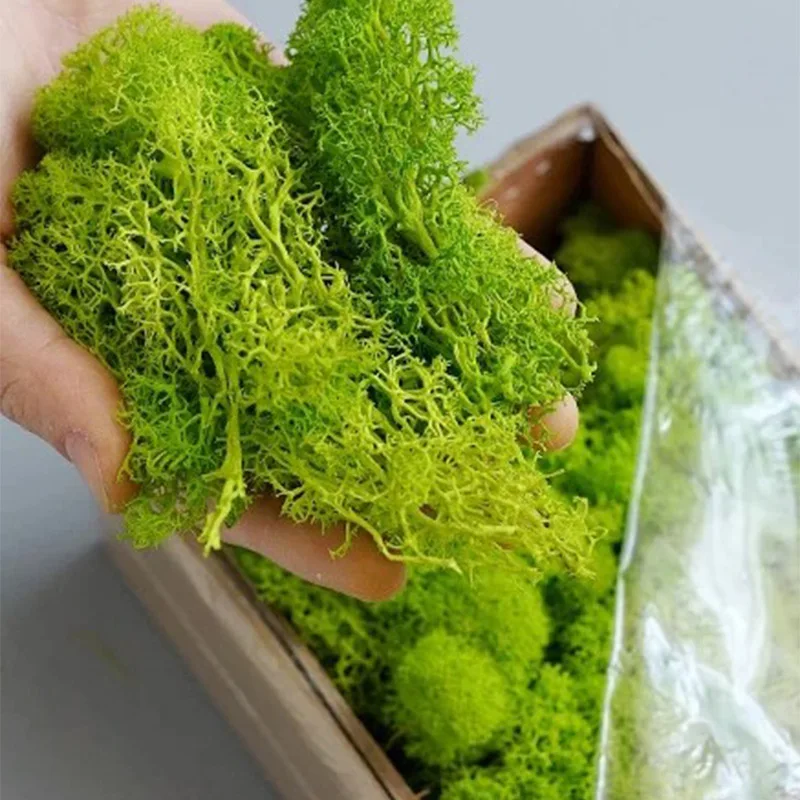 20-200g Kunstmatige Groene Pla - Sphagnum Moss Dry recensie en prijs