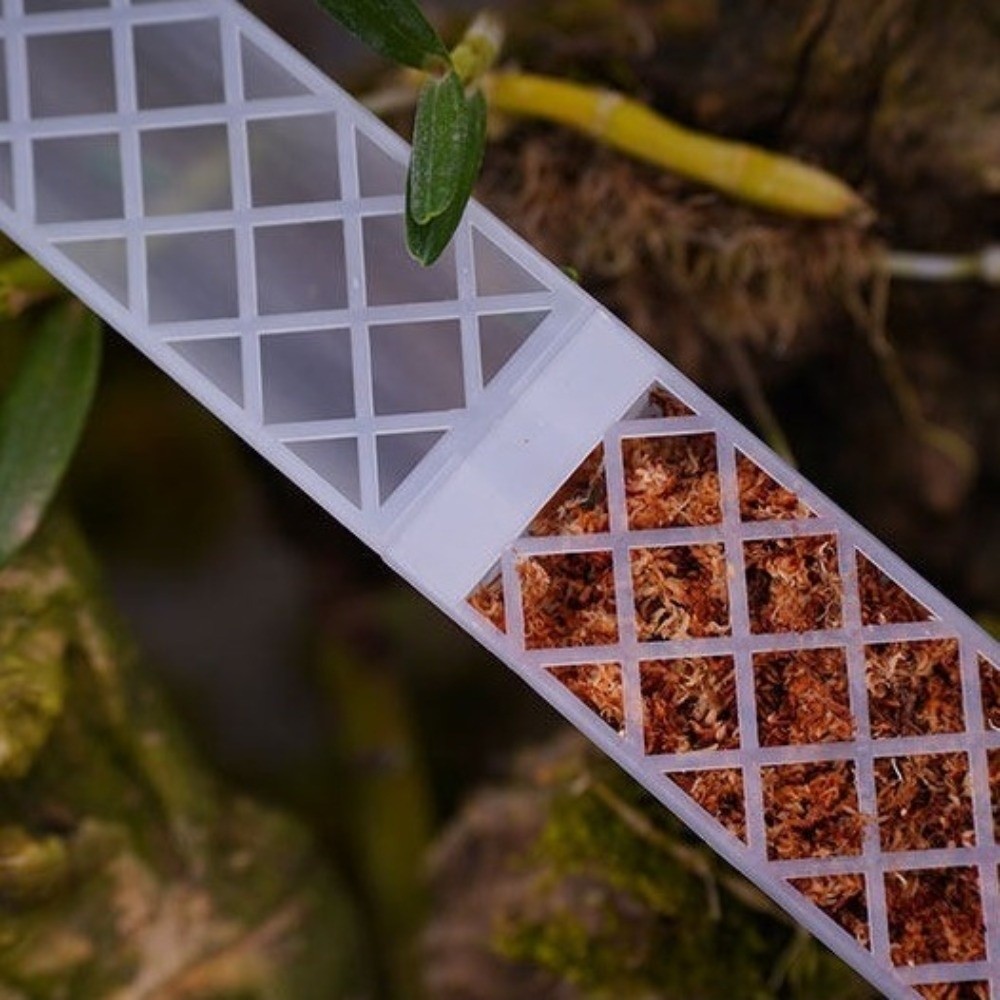 D-vormige zelfwatergevende pla - Sphagnum Moss Dry recensie en prijs
