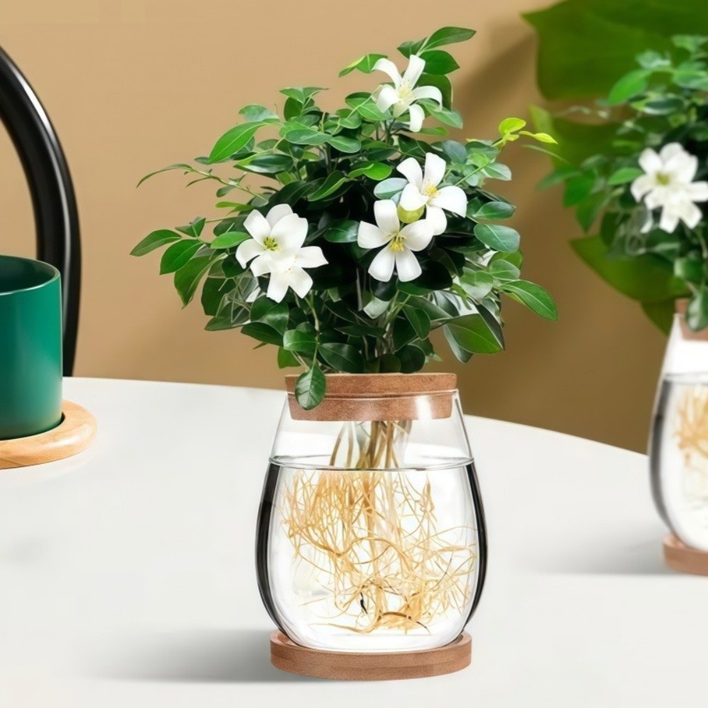 Transparante hydroponische blo - Propagation Station Vase recensie en prijs