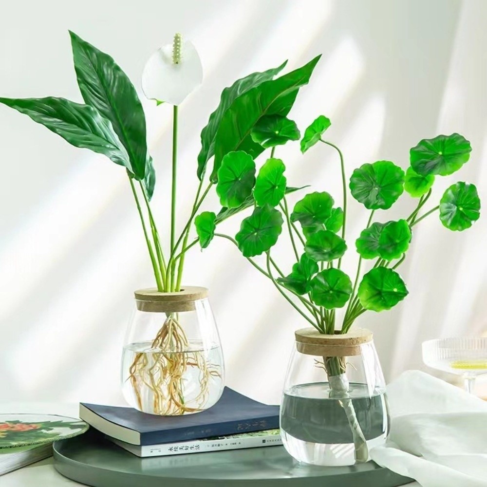 Transparante hydroponische blo - Propagation Station Vase recensie en prijs