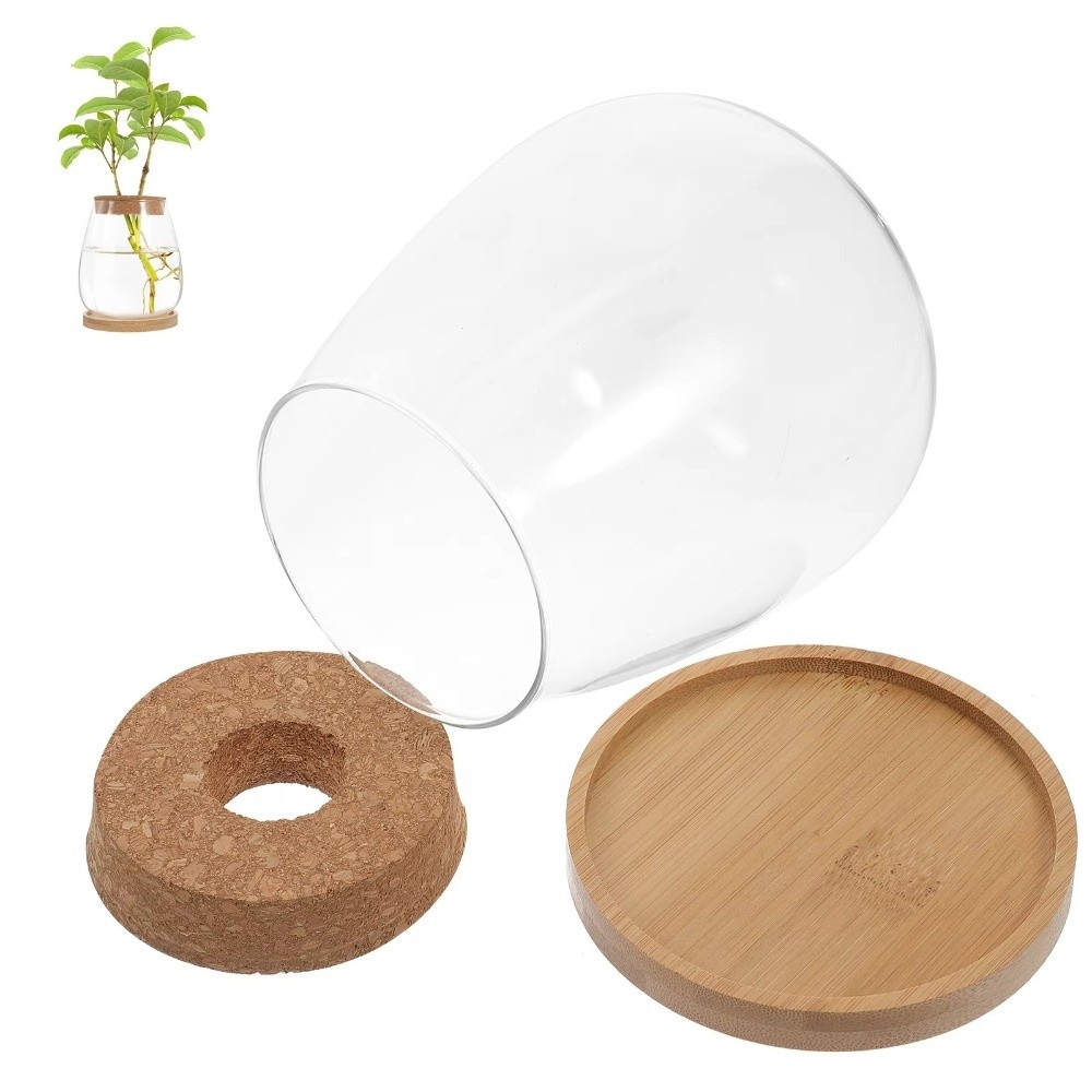 Transparante hydroponische blo - Propagation Station Vase recensie en prijs